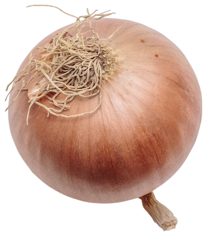 Sogan